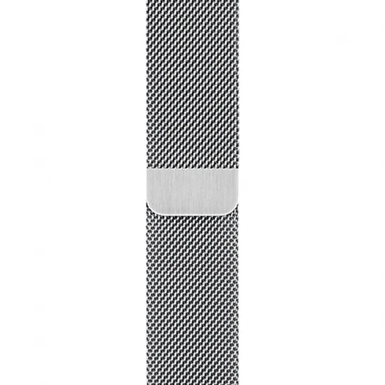 Смарт-часы Apple Watch Series 6 40mm Milanese Silver 1